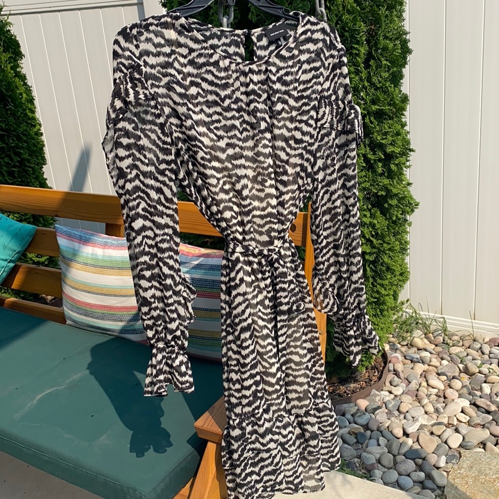 Fun ruffle sheer with under slip long sleeve dress